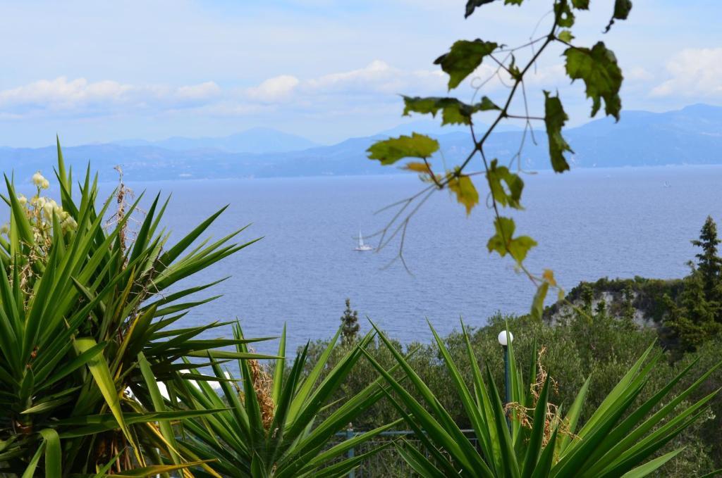 Antigoni Apartments Corfu (city) Room photo